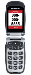 WHAT IS A JITTERBUG CELL PHONE visual data 8